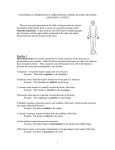 anatomical terminology, directional terms, planes, sections, and