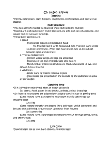 Ch. 10 Sec. 3 Notes Insects