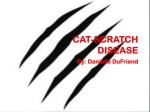 Cat-Scratch Disease - andoverhighanatomy