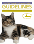 Feline Retrovirus Management Guidelines (AAFP)