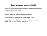 Super secondary structure (Motif)