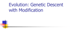 Evolution: descent with modification