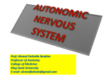 6-Autonomic nervous system