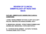 Maxillary Processes from each side (Secondary Palate)