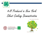Produced in New York PowerPoint