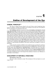 Outline of Development of the Eye