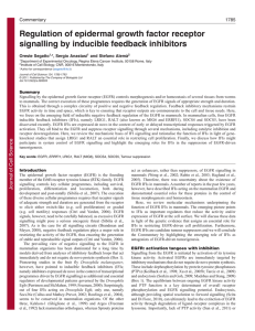 Regulation of epidermal growth factor receptor signalling by