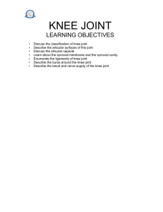 classification of knee joint
