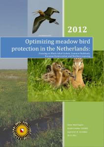 6. Optimizing meadow bird protection