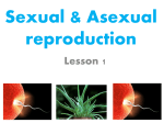 sexual reproduction in plants