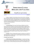 Infectious Cattle Diseases and Vaccines