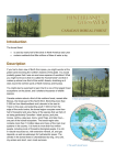 Boreal Forest Factsheet