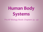 Human Body Systems PPT2013