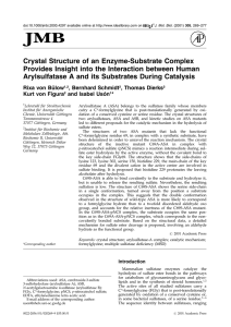 Crystal Structure of an Enzyme-Substrate Complex Provides Insight