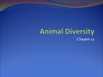 Introduction to Animal Diversity