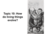 Topic 10: How do living things evolve?