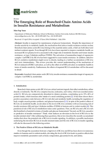 The Emerging Role of Branched-Chain Amino Acids in Insulin