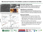 Mechanical Properties of the Middle Lamella of an Epidermal Cell Wall