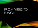 2016-2017 micro virus to fungi