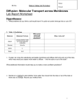 Diffusion: Molecular Transport across Membranes