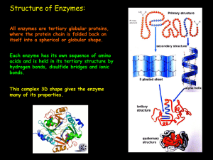 1.4 Enzymes