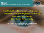 Endothelial Cell Changes as an Indicator for Upcoming Allograft