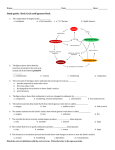 study-guide-quiz-rock-cycle-igneous-rock