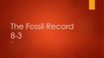 The Fossil Record 8-3