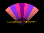 MEMBRANE TRANSPORT