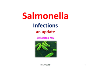 Salmonella