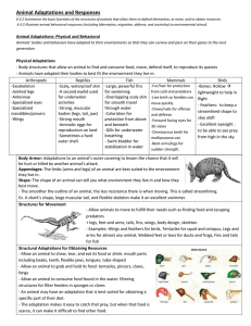 Animal Adaptations and Responses