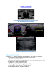 Normal Thyroid and Scanning Technique