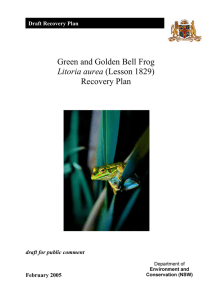 Draft Recovery Plan for the Green and Golden Bell Frog
