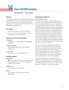 14 Stem Cell Differentiation