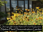 native plants - Wenatchee - Washington Native Plant Society