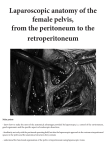 Laparoscopic anatomy of the female pelvis, from the
