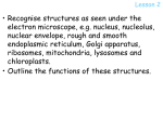 Recognise structures as seen under the electron microscope, e.g.