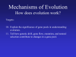 Mechanism of Evolution