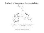 Vancomycin Presentation