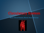 circulatory system powerpoint