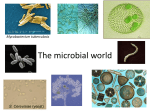 Lab introduction: The Microbial World and Metagenomics
