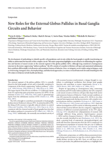 New Roles for the External Globus Pallidus in Basal Ganglia Circuits