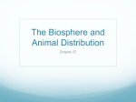 The Biosphere and Animal Distribution