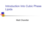 Cubic Phase Lipids