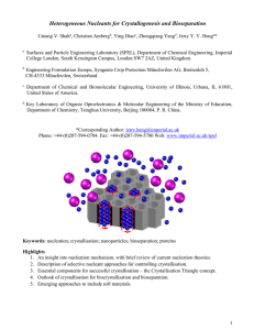 Heterogeneous Nanonucleants - Manuscript - FINAL