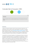 Vulnerable Marine Ecosystem (VME)