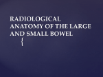 radiological anatomy of the bowel
