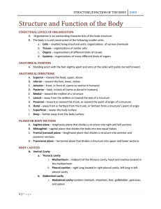 structure/function of the body