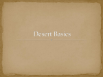 Desert Features in the Southwestern United States