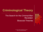 Biosocial Theories